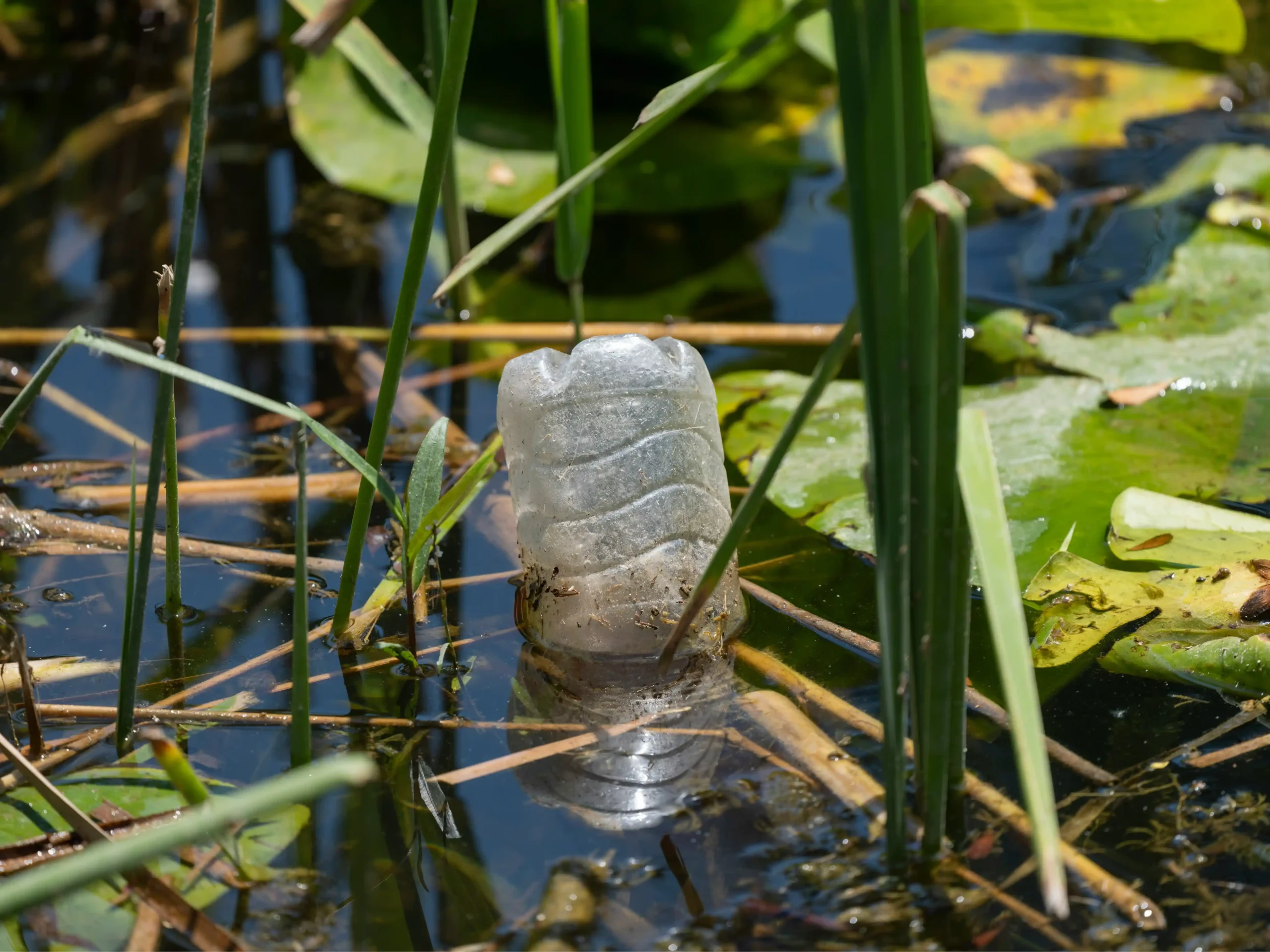 From Waste Compliance to Circular Economy.