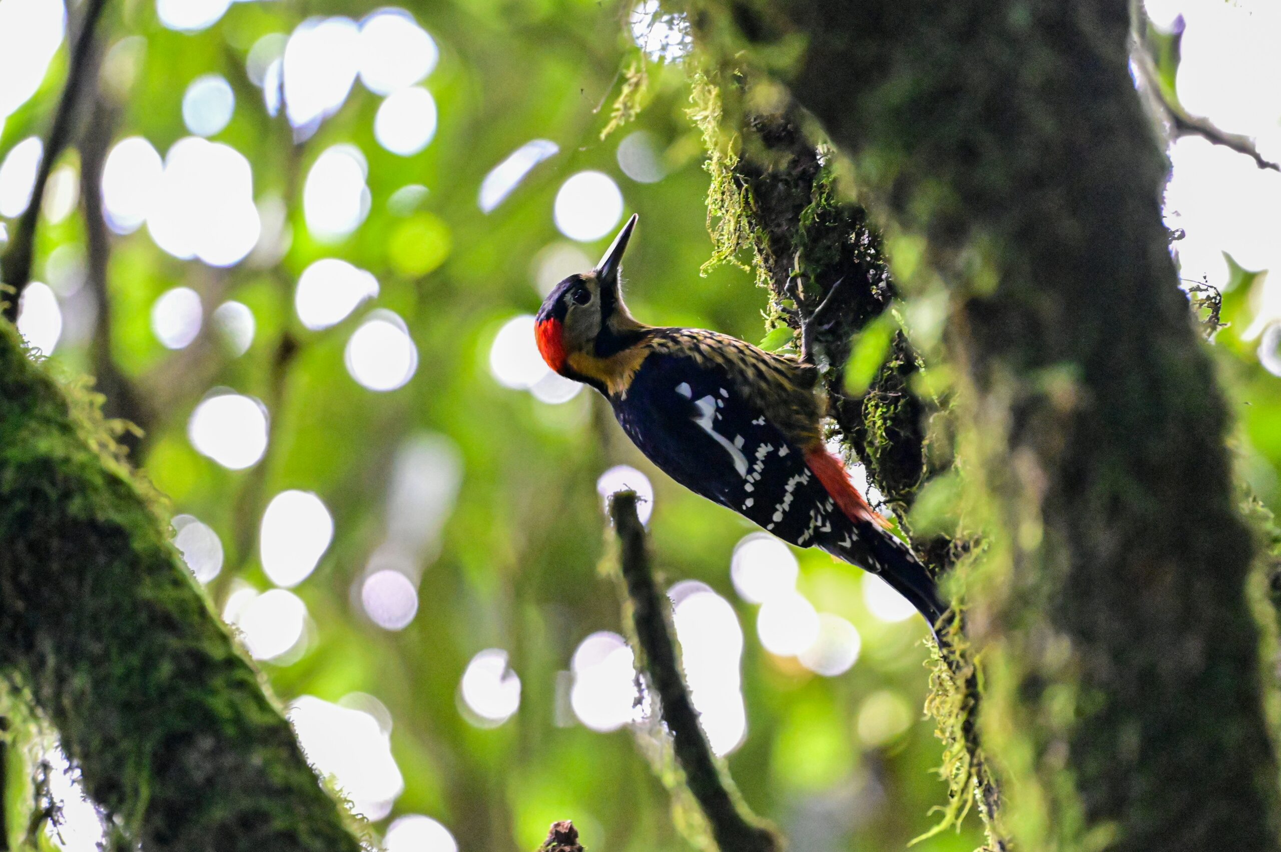 Environmental Excellence, Compliance Assured.